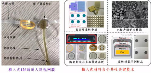 深圳先進院攜多個黑科技產品閃耀CIOE2018，推動光電技術交流與創新